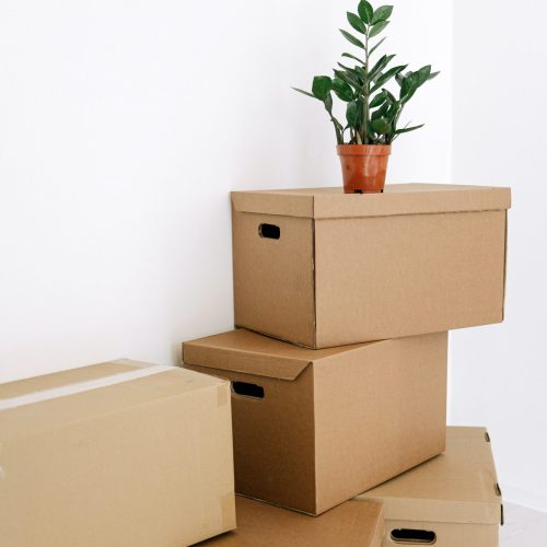 Moving Company & Movers in Gilbert, AZ | In Or Out Movers | Page Featured Image